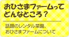 おひさまファームってどんなところ？